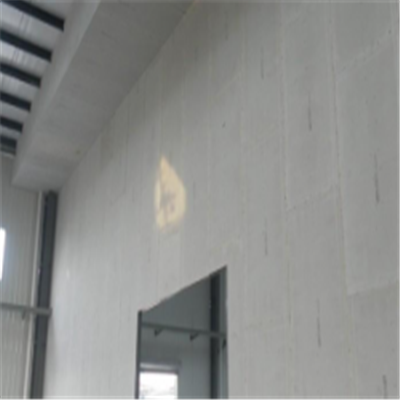 青山宁波ALC板|EPS加气板隔墙与混凝土整浇联接的实验研讨